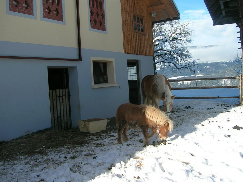 Appartamento Kollerhof Schlanitzen Esterno foto
